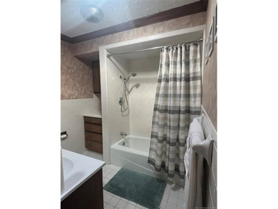 Fully Furnished Lake Area Home - Move-In Ready! Don't miss this - photo 42