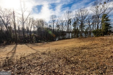 Lake Lot For Sale in Gainesville, Georgia