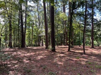 Toledo Bend Reservoir Lot For Sale in Zwolle Louisiana