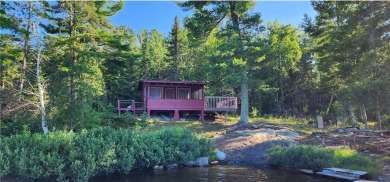 Lake Home For Sale in International Falls, Minnesota
