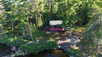 Unwind in cozy comfort inside this picturesque cabin retreat - photo 4