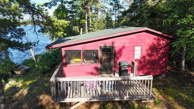 Unwind in cozy comfort inside this picturesque cabin retreat - photo 8