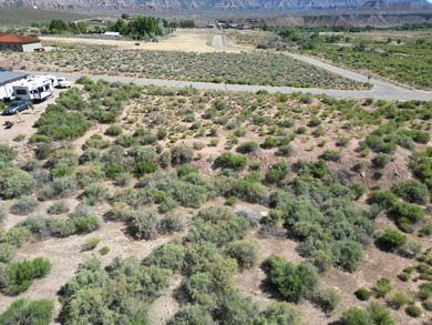 Virgin River Lot For Sale in Virgin Utah
