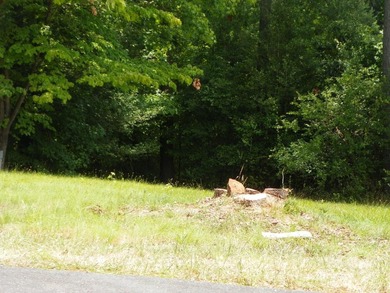 Badin Lake Lot For Sale in New London North Carolina