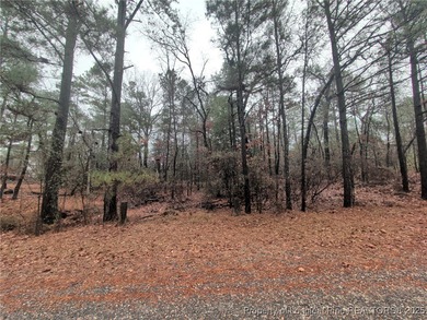 Lake Surf Lot For Sale in Vass North Carolina