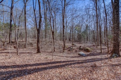 Stunning 3.44 Acre lot @ Lake Russell - photo 5