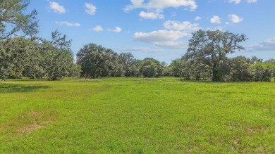 Lake Lewisville Lot For Sale in Shady Shores Texas