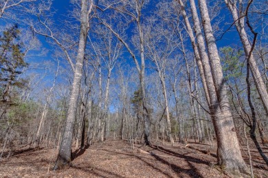 Stunning 3.44 Acre lot @ Lake Russell - photo 4
