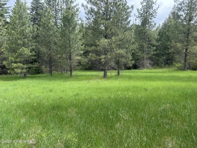 Lake Acreage For Sale in Harrison, Idaho