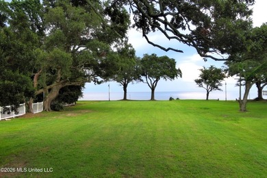 Large - photo 4
