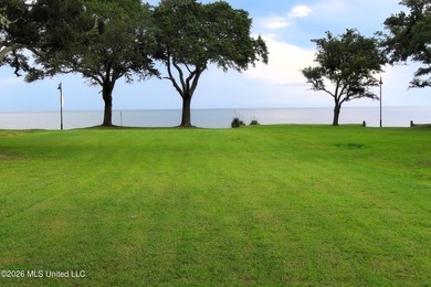 Large - photo 7