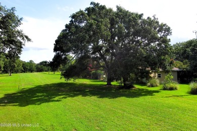 Large - photo 10
