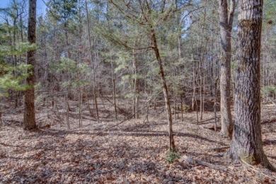 Stunning 3.44 Acre lot @ Lake Russell - photo 7