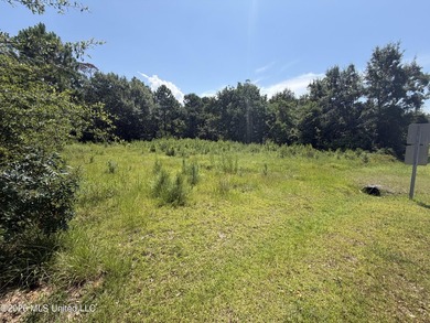 Stunning Cleared Lot Ready for Your Dream Home! Within walking - photo 3