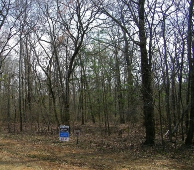 Stunning 3.44 Acre lot @ Lake Russell - photo 2