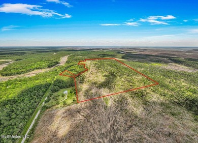 Located on Bayou Cumbest Road in Moss Point, this 48.23-acre - photo 2