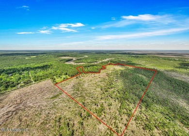 Located on Bayou Cumbest Road in Moss Point, this 48.23-acre - photo 3