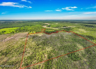 Located on Bayou Cumbest Road in Moss Point, this 48.23-acre - photo 4