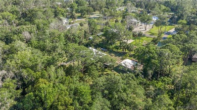 Spacious 4-bedroom ranch home situated on 3 lots totaling over - photo 4