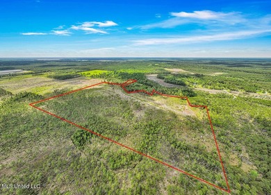 Located on Bayou Cumbest Road in Moss Point, this 48.23-acre - photo 5