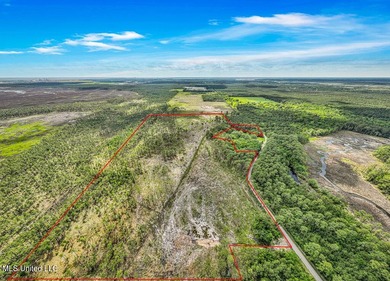 Located on Bayou Cumbest Road in Moss Point, this 48.23-acre - photo 6
