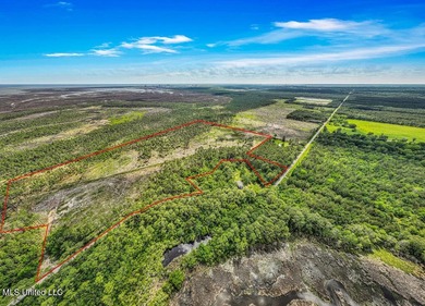 Located on Bayou Cumbest Road in Moss Point, this 48.23-acre - photo 7