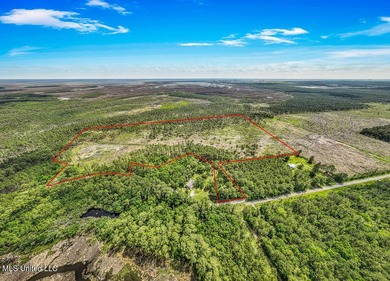 Located on Bayou Cumbest Road in Moss Point, this 48.23-acre - photo 8