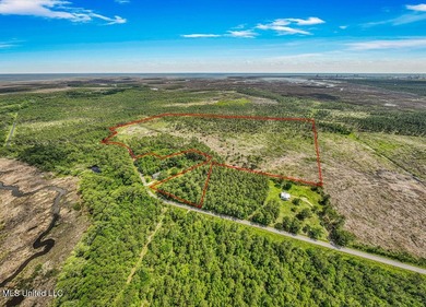 Located on Bayou Cumbest Road in Moss Point, this 48.23-acre - photo 9
