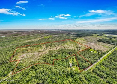 Located on Bayou Cumbest Road in Moss Point, this 48.23-acre - photo 10