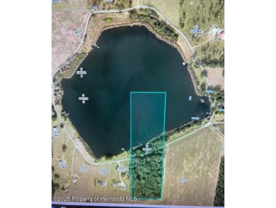 Lake Acreage Sale Pending in Brooksville, Florida