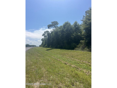 373+/- acres located on the north side of Interstate I-10 just - photo 1