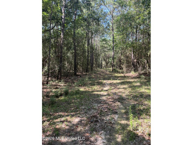373+/- acres located on the north side of Interstate I-10 just - photo 2