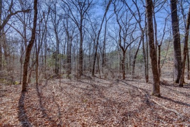 Stunning 3.44 Acre lot @ Lake Russell - photo 3