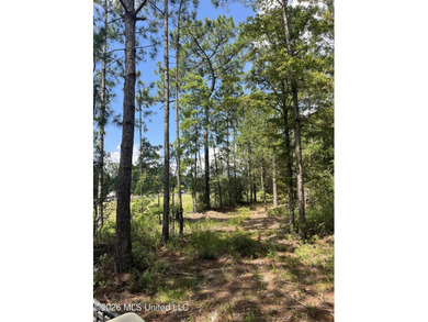373+/- acres located on the north side of Interstate I-10 just - photo 3