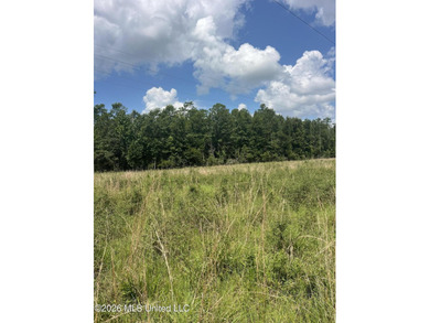 373+/- acres located on the north side of Interstate I-10 just - photo 4