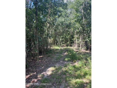 373+/- acres located on the north side of Interstate I-10 just - photo 5