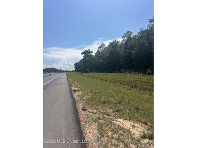 373+/- acres located on the north side of Interstate I-10 just - photo 6