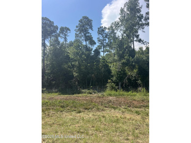 373+/- acres located on the north side of Interstate I-10 just - photo 7