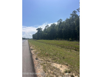373+/- acres located on the north side of Interstate I-10 just - photo 8