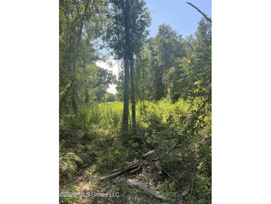 373+/- acres located on the north side of Interstate I-10 just - photo 9