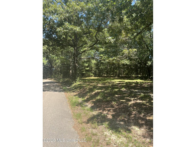 373+/- acres located on the north side of Interstate I-10 just - photo 10