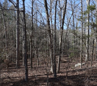 Stunning 3.44 Acre lot @ Lake Russell - photo 8