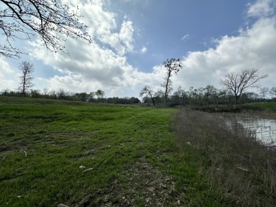 Waterfront Lot w/Boathouse on Richland Chambers Lake! - photo 24