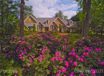 (private lake, pond, creek) Home For Sale in Hendersonville North Carolina