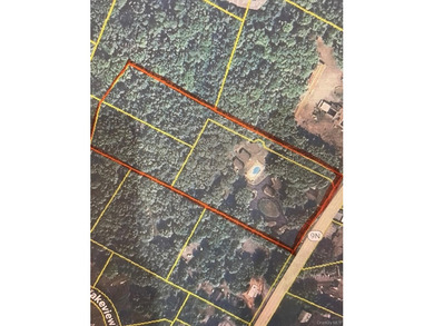 Investor Opportunity in Lake George. Just drastically reduced - photo 15