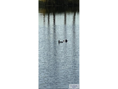 This lovely Unit is nicely furnished with great views. Location