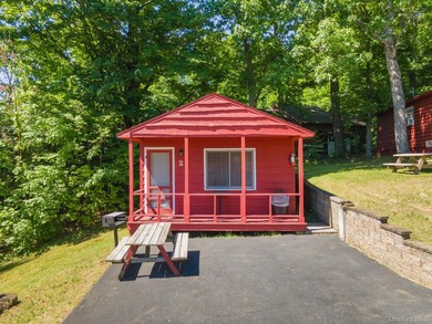 Investor Opportunity in Lake George. Just drastically reduced - photo 40
