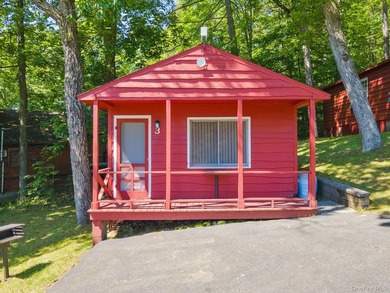 Investor Opportunity in Lake George. Just drastically reduced - photo 41