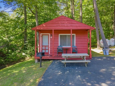 Investor Opportunity in Lake George. Just drastically reduced - photo 42