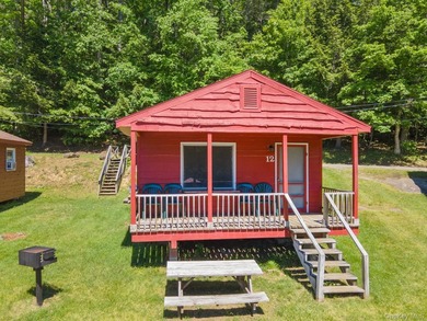 Investor Opportunity in Lake George. Just drastically reduced - photo 49